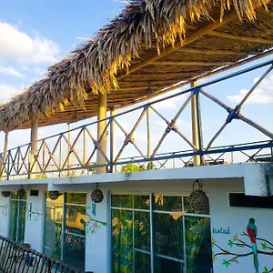 La Casa De Aves Aparthotel